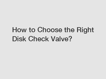 How to Choose the Right Disk Check Valve?