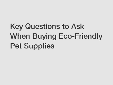 Key Questions to Ask When Buying Eco-Friendly Pet Supplies