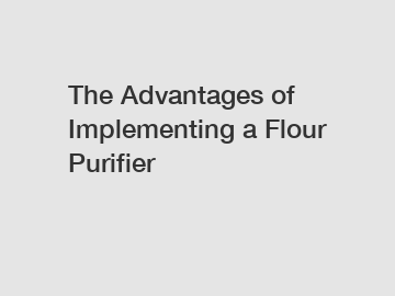 The Advantages of Implementing a Flour Purifier