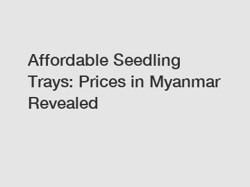 Affordable Seedling Trays: Prices in Myanmar Revealed