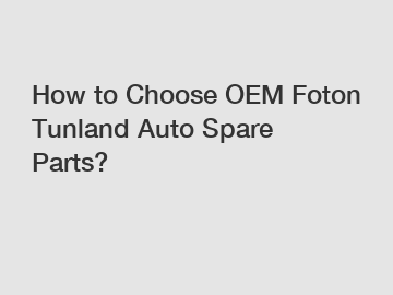 How to Choose OEM Foton Tunland Auto Spare Parts?