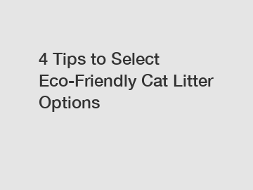 4 Tips to Select Eco-Friendly Cat Litter Options