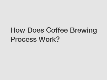 How Does Coffee Brewing Process Work?