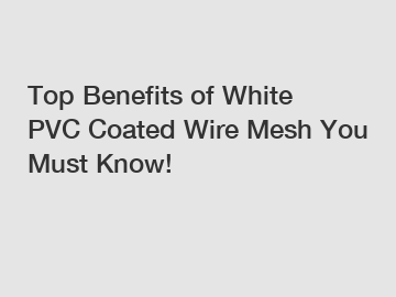 Top Benefits of White PVC Coated Wire Mesh You Must Know!