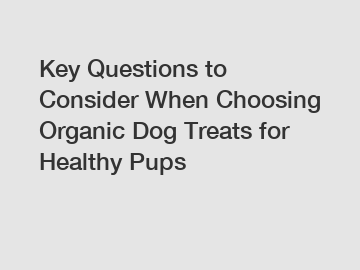 Key Questions to Consider When Choosing Organic Dog Treats for Healthy Pups