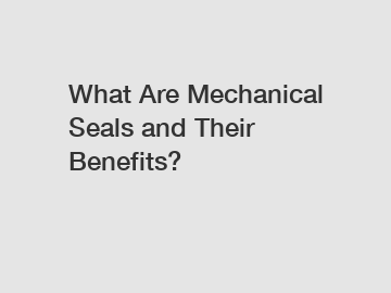 What Are Mechanical Seals and Their Benefits?