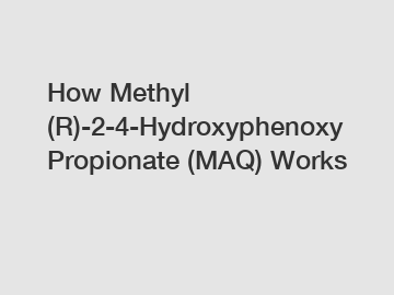 How Methyl (R)-2-4-Hydroxyphenoxy Propionate (MAQ) Works