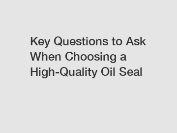 Key Questions to Ask When Choosing a High-Quality Oil Seal