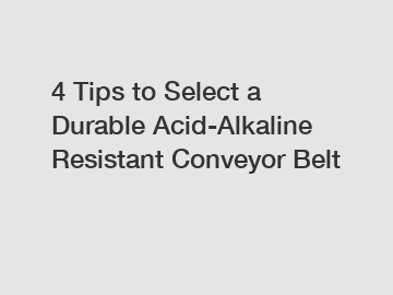 4 Tips to Select a Durable Acid-Alkaline Resistant Conveyor Belt