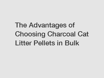 The Advantages of Choosing Charcoal Cat Litter Pellets in Bulk