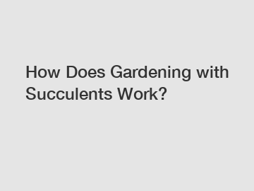 How Does Gardening with Succulents Work?