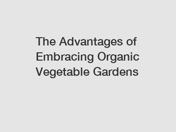 The Advantages of Embracing Organic Vegetable Gardens