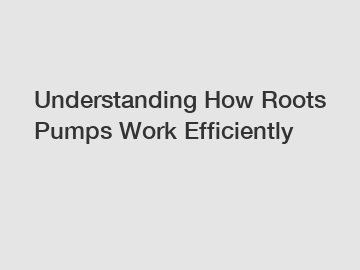 Understanding How Roots Pumps Work Efficiently