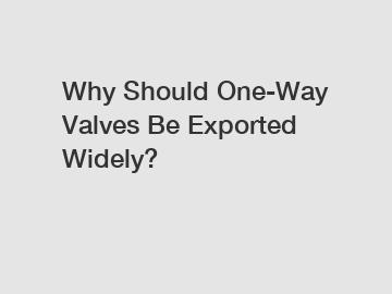 Why Should One-Way Valves Be Exported Widely?