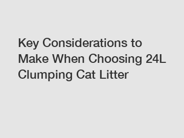 Key Considerations to Make When Choosing 24L Clumping Cat Litter