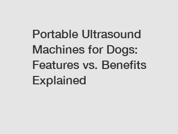 Portable Ultrasound Machines for Dogs: Features vs. Benefits Explained