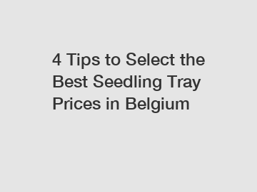 4 Tips to Select the Best Seedling Tray Prices in Belgium