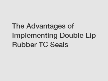 The Advantages of Implementing Double Lip Rubber TC Seals