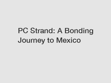 PC Strand: A Bonding Journey to Mexico