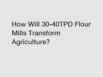 How Will 30-40TPD Flour Mills Transform Agriculture?