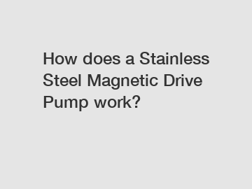 How does a Stainless Steel Magnetic Drive Pump work?