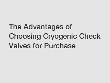 The Advantages of Choosing Cryogenic Check Valves for Purchase