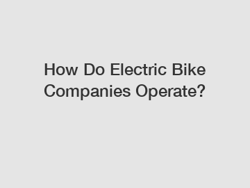 How Do Electric Bike Companies Operate?