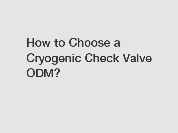 How to Choose a Cryogenic Check Valve ODM?