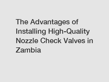 The Advantages of Installing High-Quality Nozzle Check Valves in Zambia