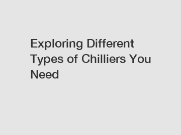 Exploring Different Types of Chilliers You Need