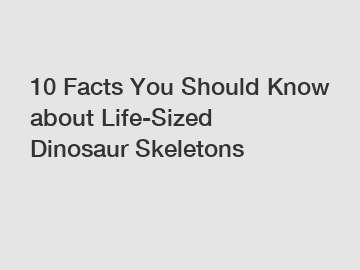10 Facts You Should Know about Life-Sized Dinosaur Skeletons