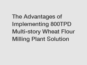 The Advantages of Implementing 800TPD Multi-story Wheat Flour Milling Plant Solution