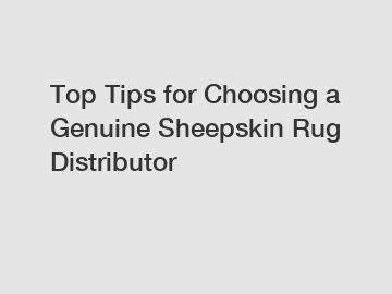 Top Tips for Choosing a Genuine Sheepskin Rug Distributor