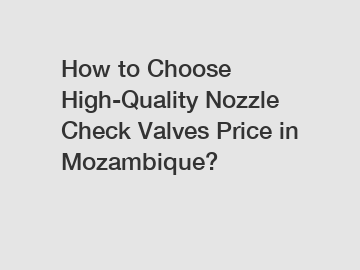 How to Choose High-Quality Nozzle Check Valves Price in Mozambique?
