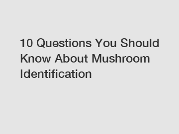 10 Questions You Should Know About Mushroom Identification