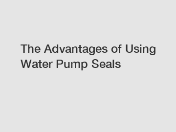 The Advantages of Using Water Pump Seals