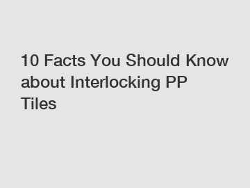 10 Facts You Should Know about Interlocking PP Tiles