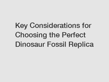 Key Considerations for Choosing the Perfect Dinosaur Fossil Replica