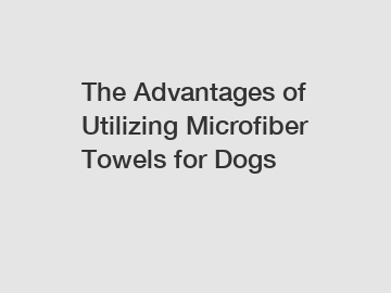 The Advantages of Utilizing Microfiber Towels for Dogs