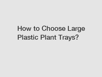 How to Choose Large Plastic Plant Trays?