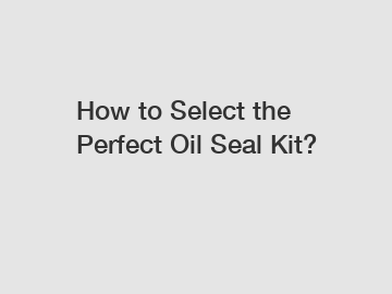 How to Select the Perfect Oil Seal Kit?