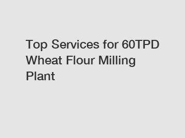 Top Services for 60TPD Wheat Flour Milling Plant