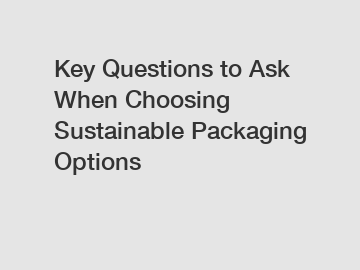 Key Questions to Ask When Choosing Sustainable Packaging Options