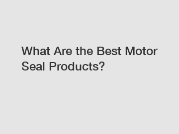 What Are the Best Motor Seal Products?