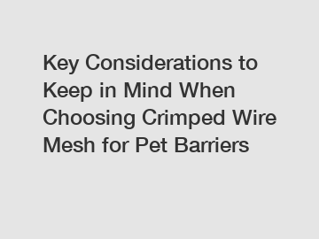 Key Considerations to Keep in Mind When Choosing Crimped Wire Mesh for Pet Barriers