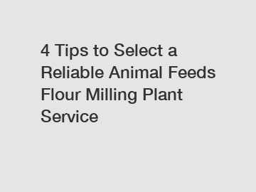 4 Tips to Select a Reliable Animal Feeds Flour Milling Plant Service