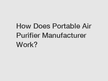 How Does Portable Air Purifier Manufacturer Work?