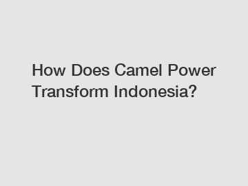 How Does Camel Power Transform Indonesia?