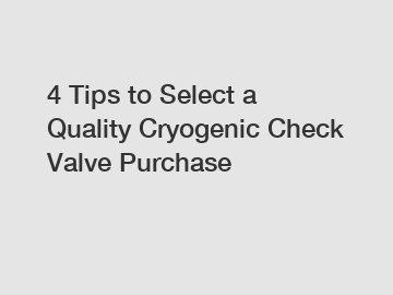 4 Tips to Select a Quality Cryogenic Check Valve Purchase