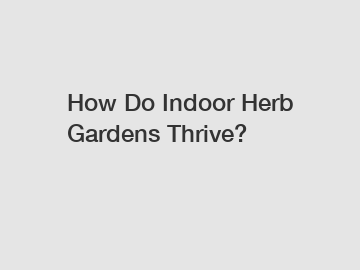 How Do Indoor Herb Gardens Thrive?